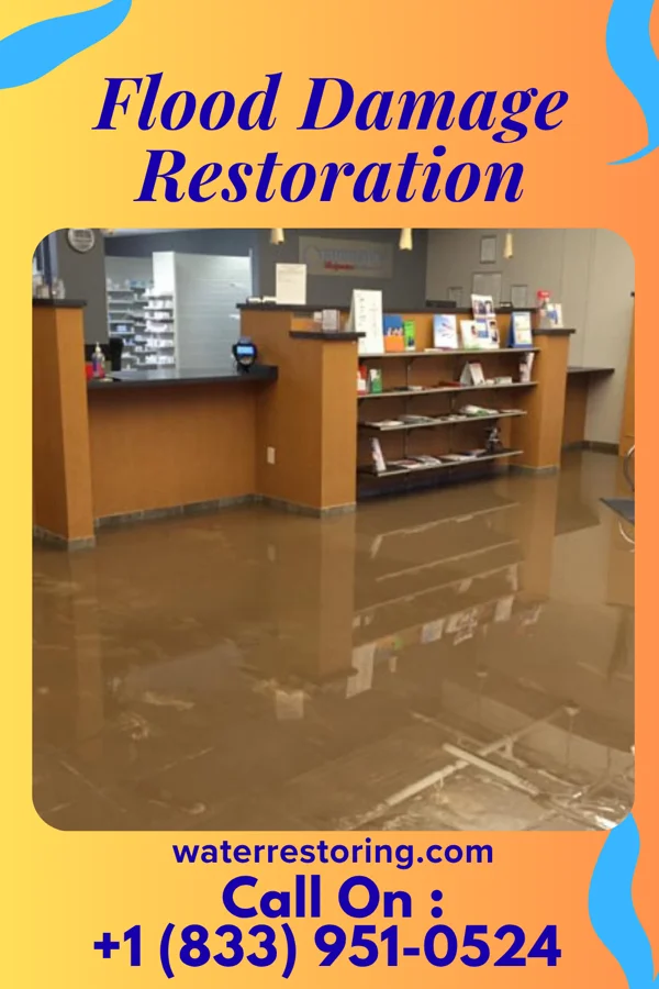 Flood Damage Restoration in Ferry Pass, FL