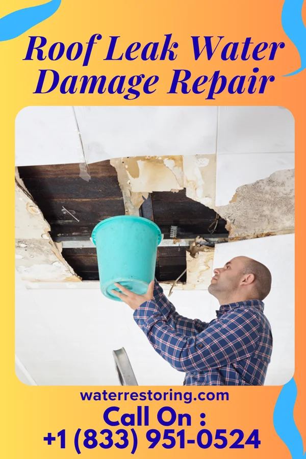 Roof Leak Water Damage Repair in Ferry Pass, FL